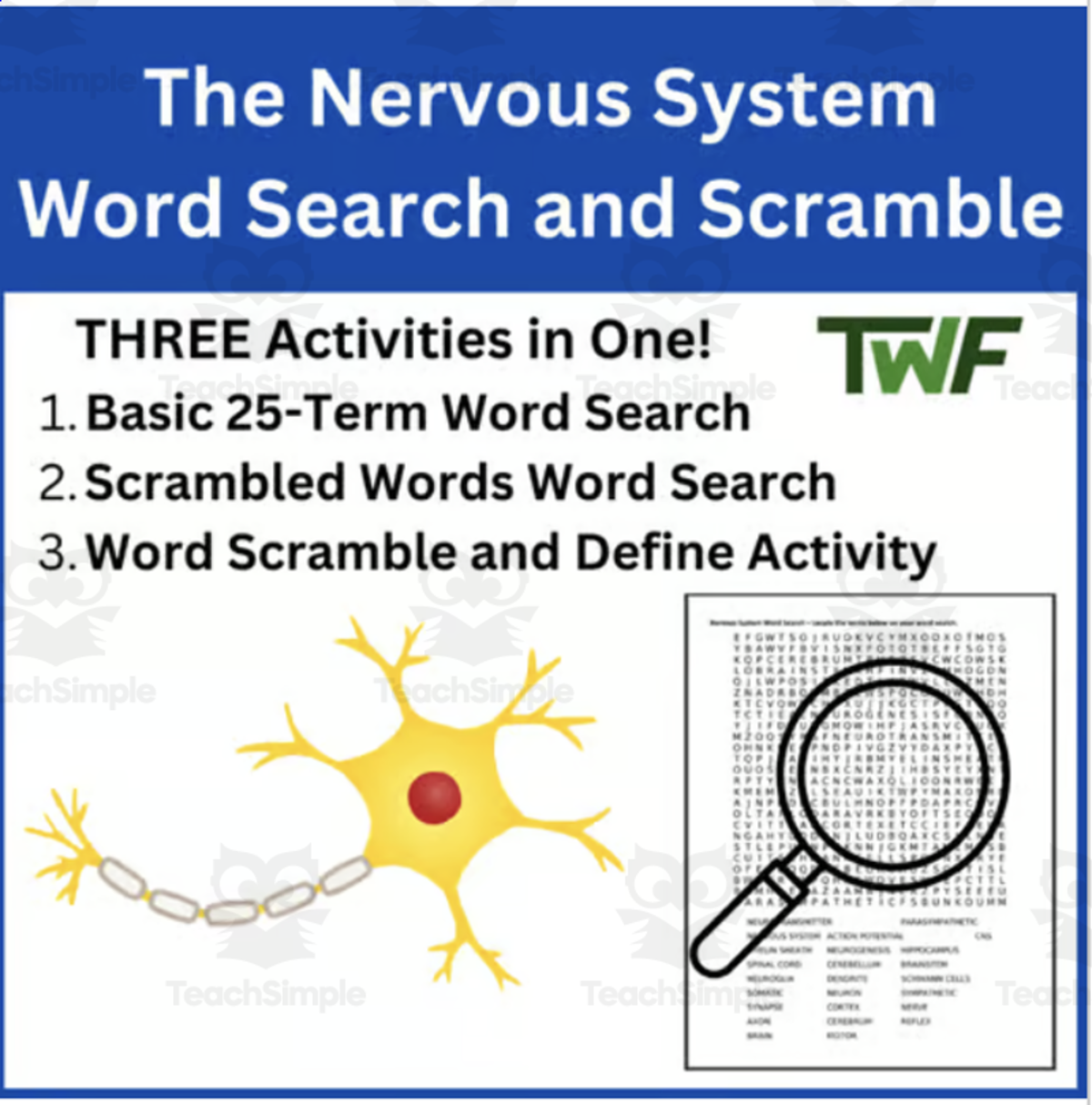An educational teaching resource from Teach With Fergy entitled The Nervous System Word Search and Scramble Activity downloadable at Teach Simple.