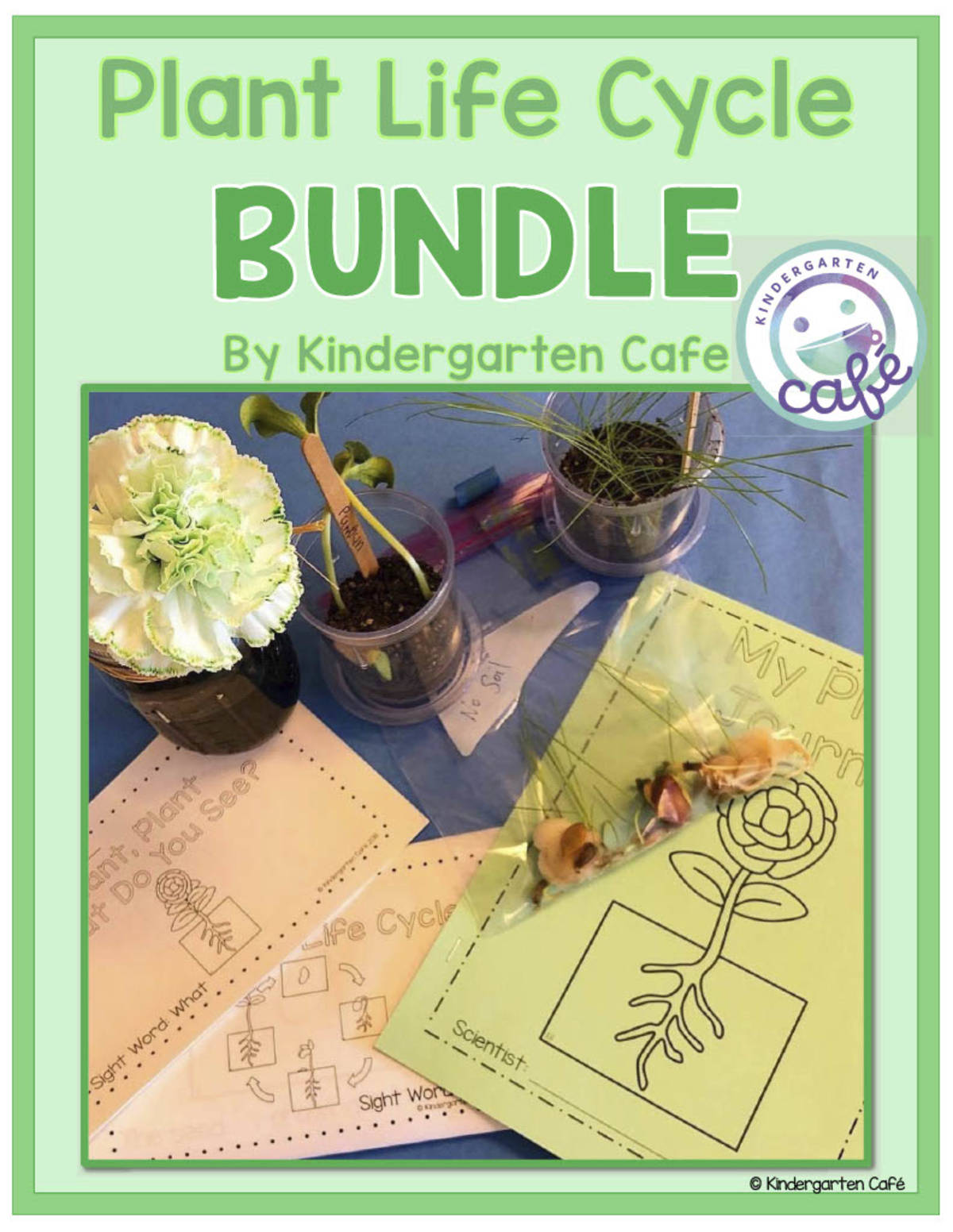 An educational teaching resource from Kindergarten Cafe entitled The Plant Life Cycle Unit downloadable at Teach Simple.