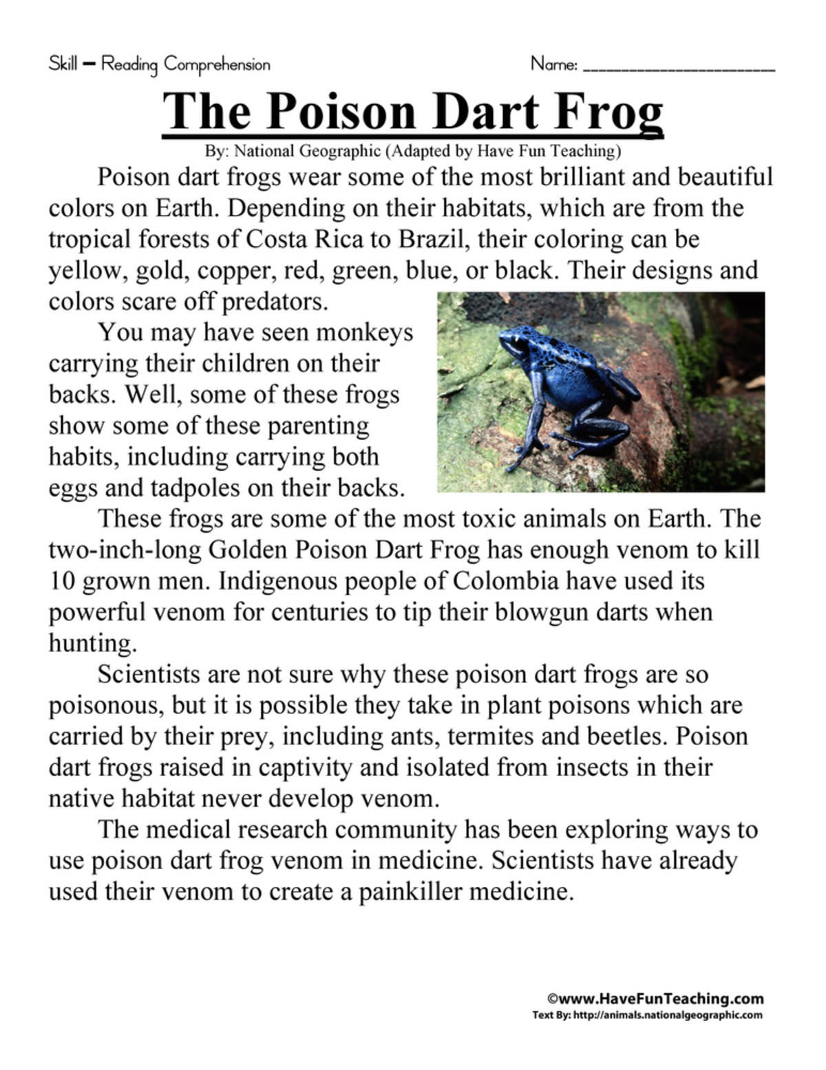 An educational teaching resource from Have Fun Teaching entitled The Poison Dart Frog Reading Comprehension Worksheet downloadable at Teach Simple.
