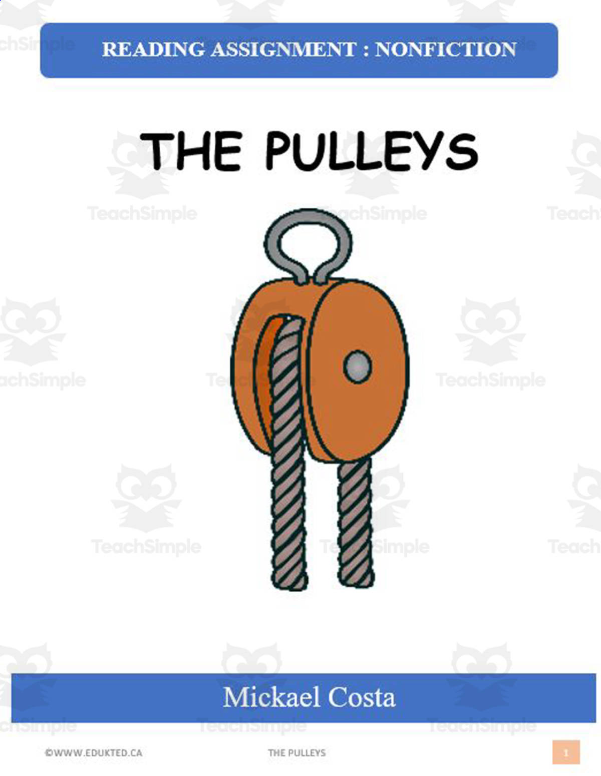 An educational teaching resource from Learn it ANY way entitled The pulleys (#1552) downloadable at Teach Simple.