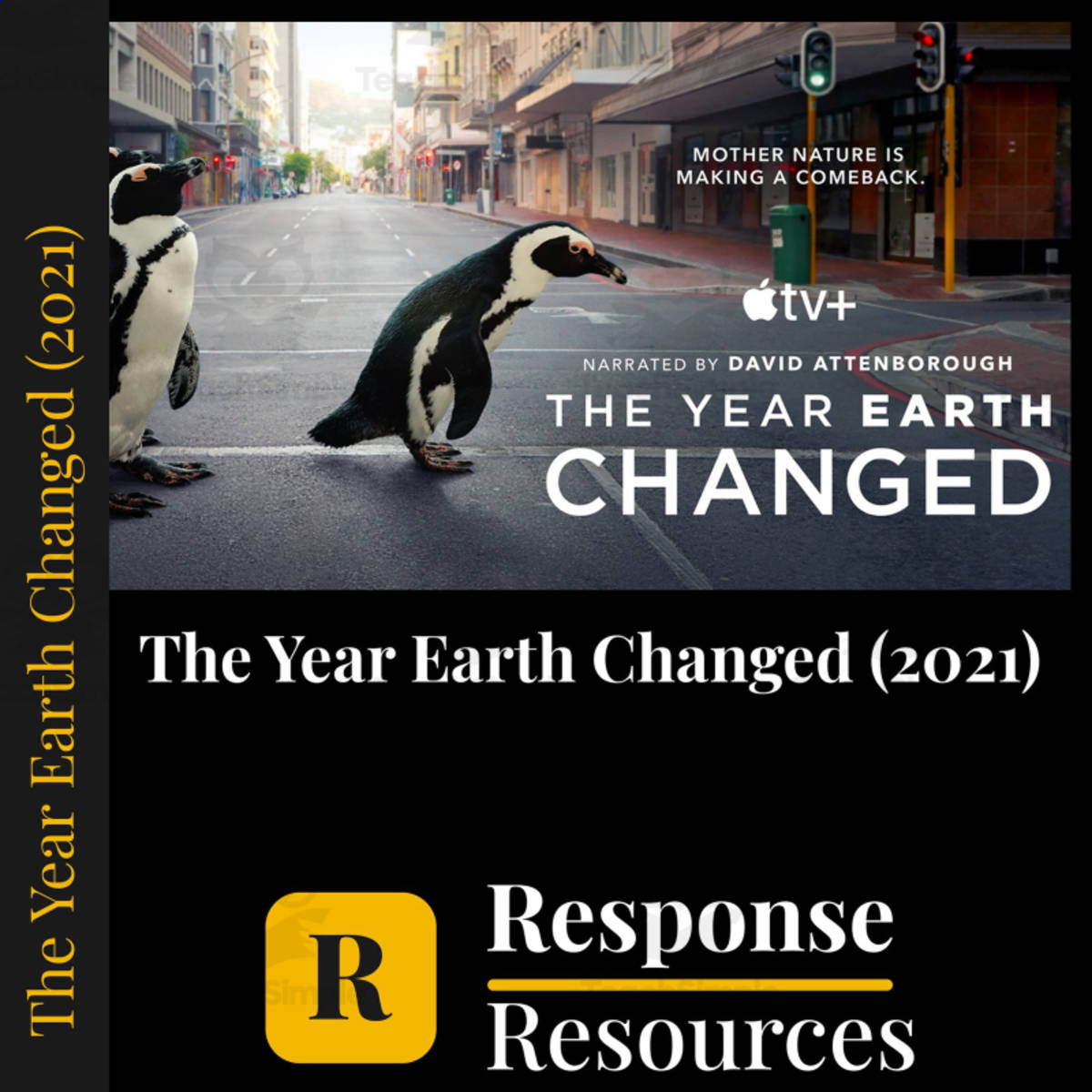 The Year Earth Changed Attenborough Worksheet & Key + Google Forms preview