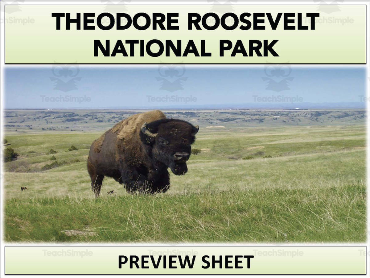 An educational teaching resource from Mr Gray History entitled Theodore Roosevelt National Park Geography Unit downloadable at Teach Simple.