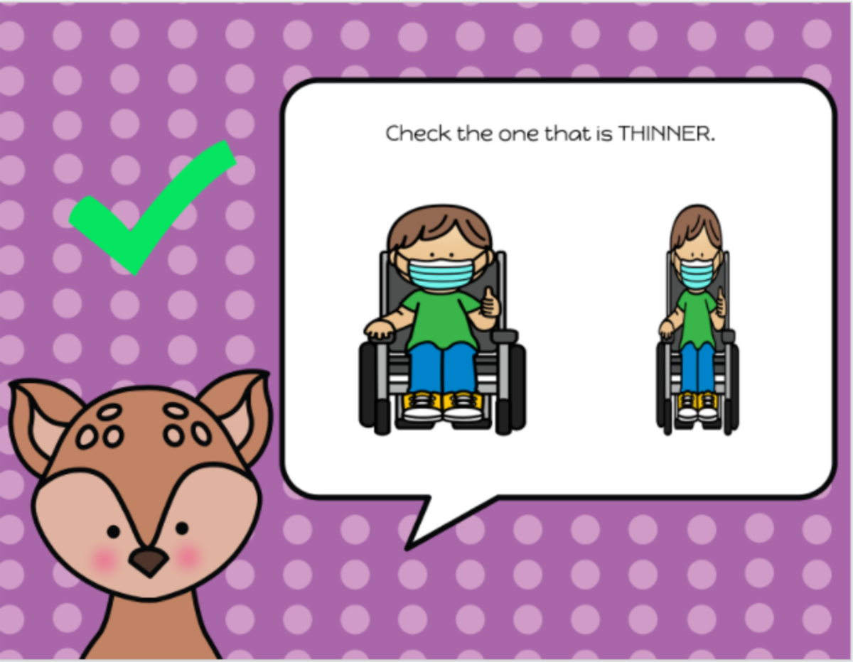 An educational teaching resource from My Kind of Crazy entitled Thin or Wide Slide Deck for Special Ed downloadable at Teach Simple.