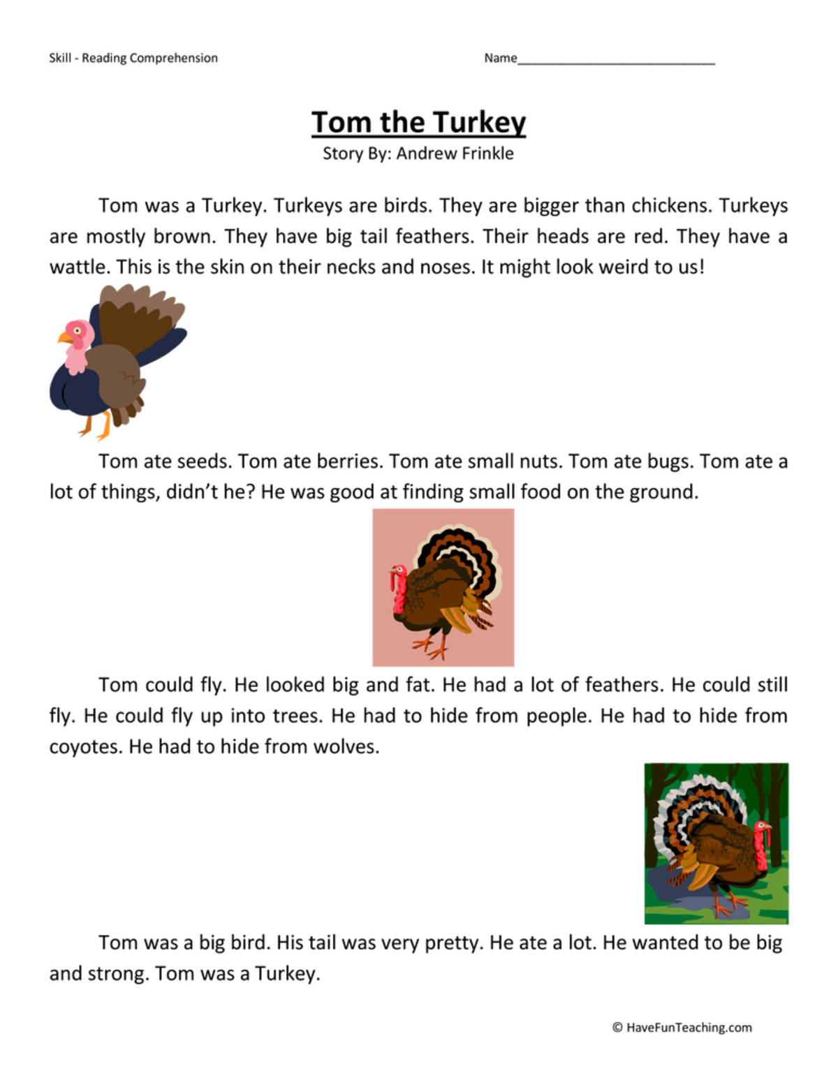 An educational teaching resource from Have Fun Teaching entitled Tom the Turkey Reading Comprehension Worksheet downloadable at Teach Simple.