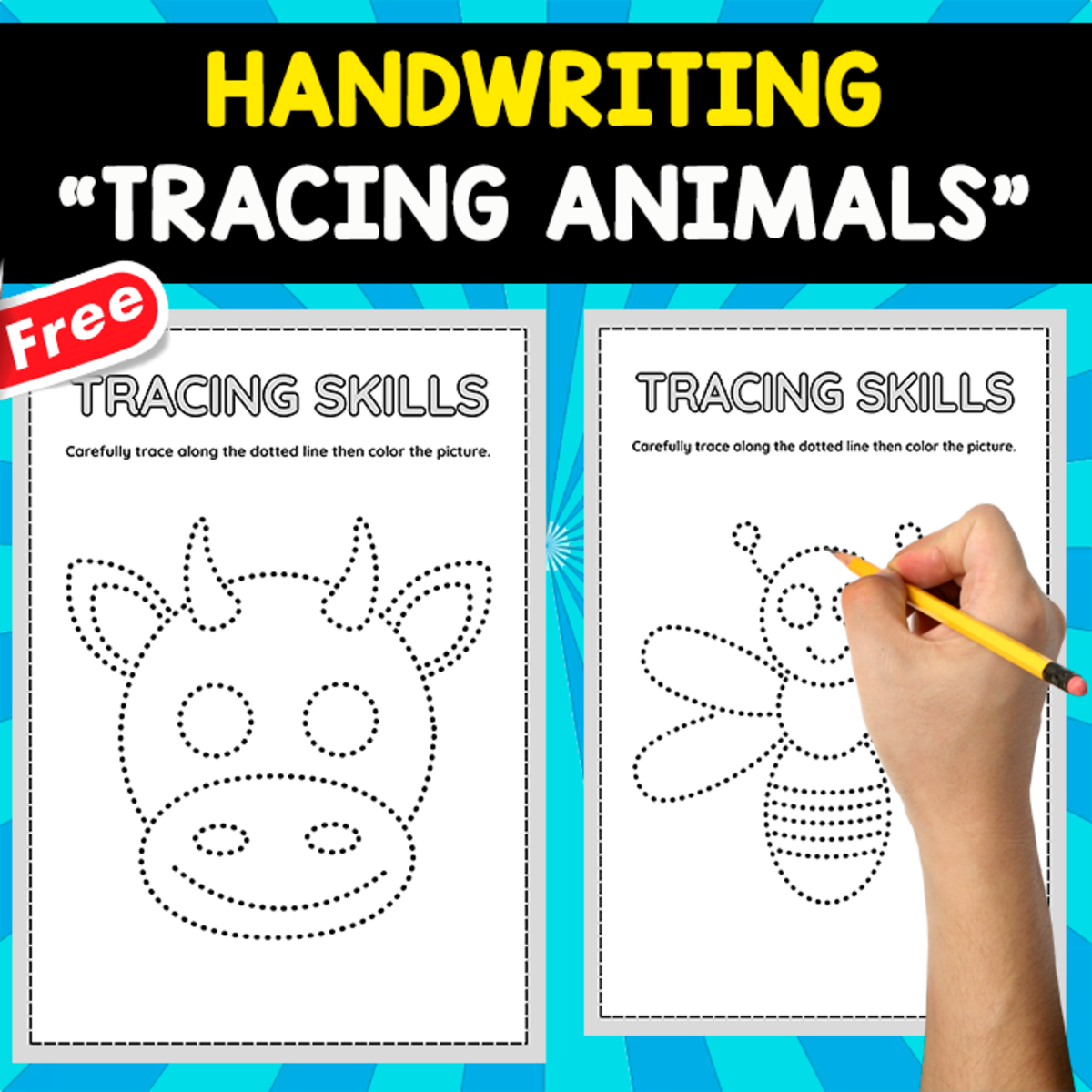 An educational teaching resource from EDITORIAL LAURA EDUCA entitled TRACING ANIMALS | 12 FREE WORKSHEETS downloadable at Teach Simple.