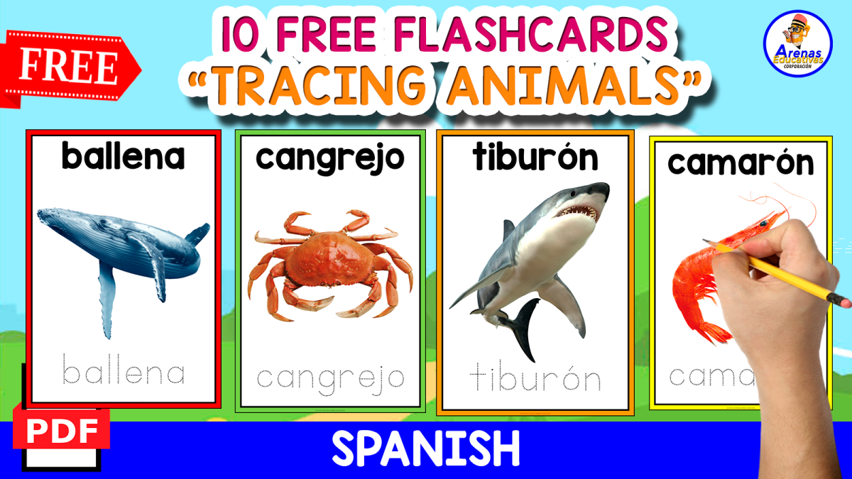 An educational teaching resource from EDITORIAL LAURA EDUCA entitled TRACING AQUATIC ANIMALS IN SPANISH | 10 FREE FLASHCARDS downloadable at Teach Simple.