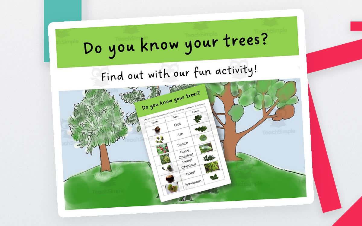 An educational teaching resource from Lilibette's Resources entitled Tree ID Activity – Identify Common Trees Game downloadable at Teach Simple.