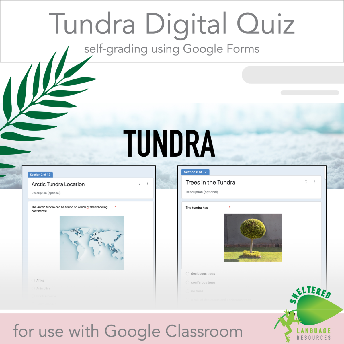 An educational teaching resource from Sheltered Language Resources entitled Tundra - Digital Quiz for Google Classroom downloadable at Teach Simple.
