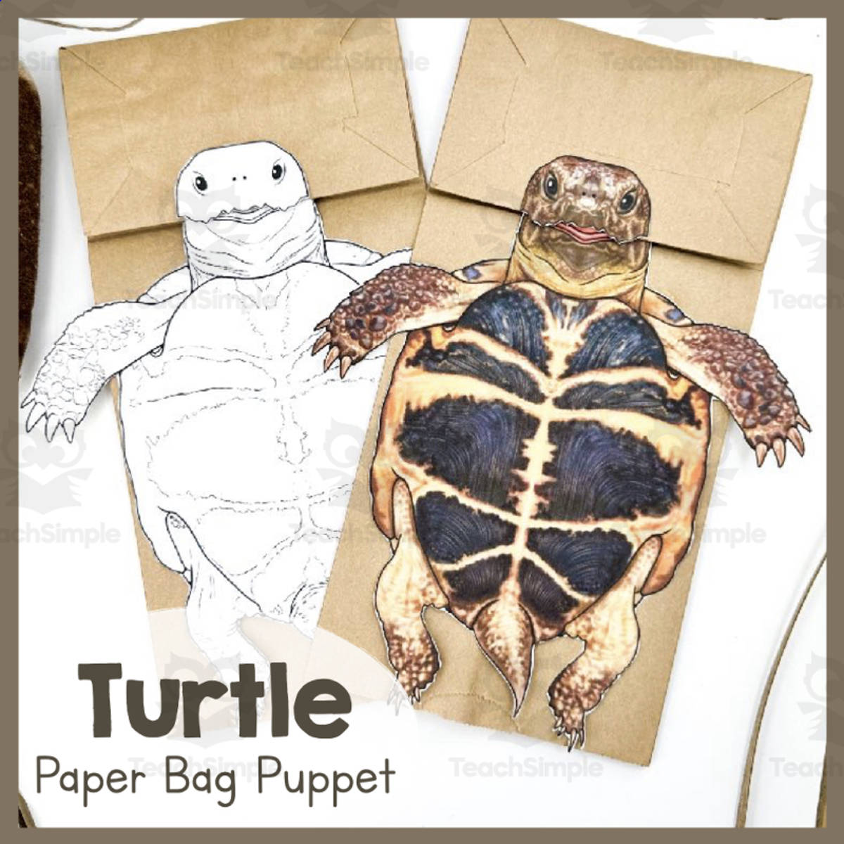 An educational teaching resource from Simply Schoolgirl entitled Turtle | Paper Bag Puppet | Printable Craft downloadable at Teach Simple.