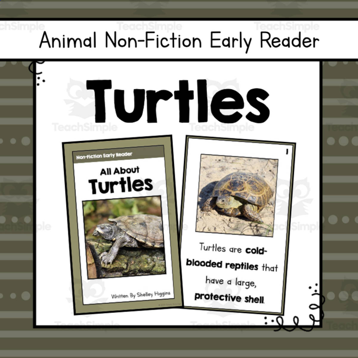 An educational teaching resource from Simply Schoolgirl entitled Turtles Early Reader Nonfiction Book downloadable at Teach Simple.