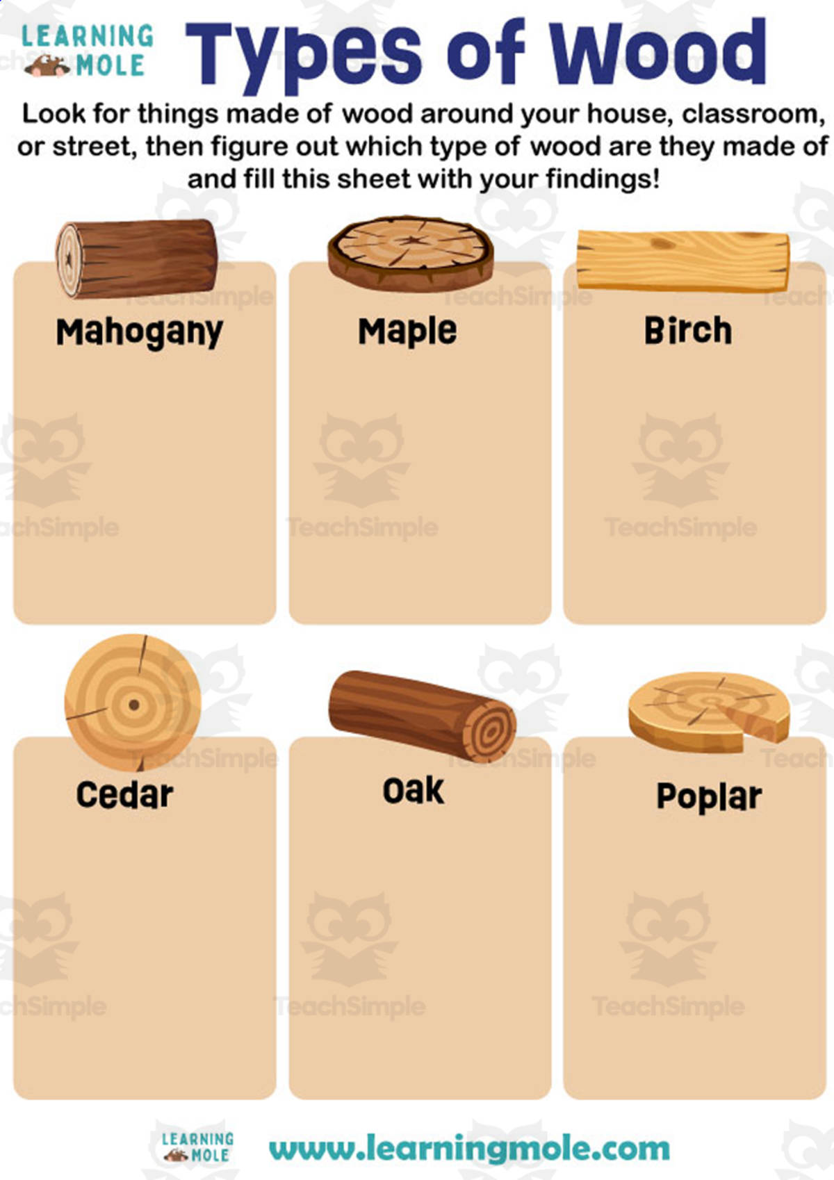 An educational teaching resource from Educational Voice entitled Types of Wood Activity downloadable at Teach Simple.