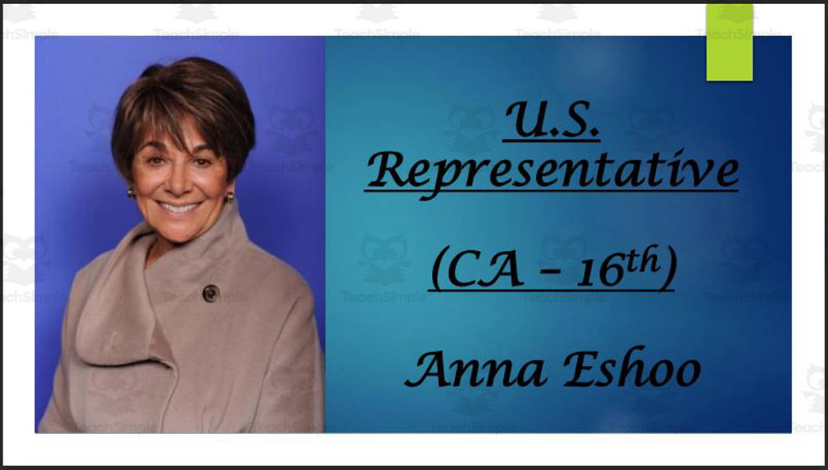 An educational teaching resource from Mr. Matthews Teacher Store entitled U.S. Representative Anna Eshoo (CA - 16th) BIO PPT downloadable at Teach Simple.
