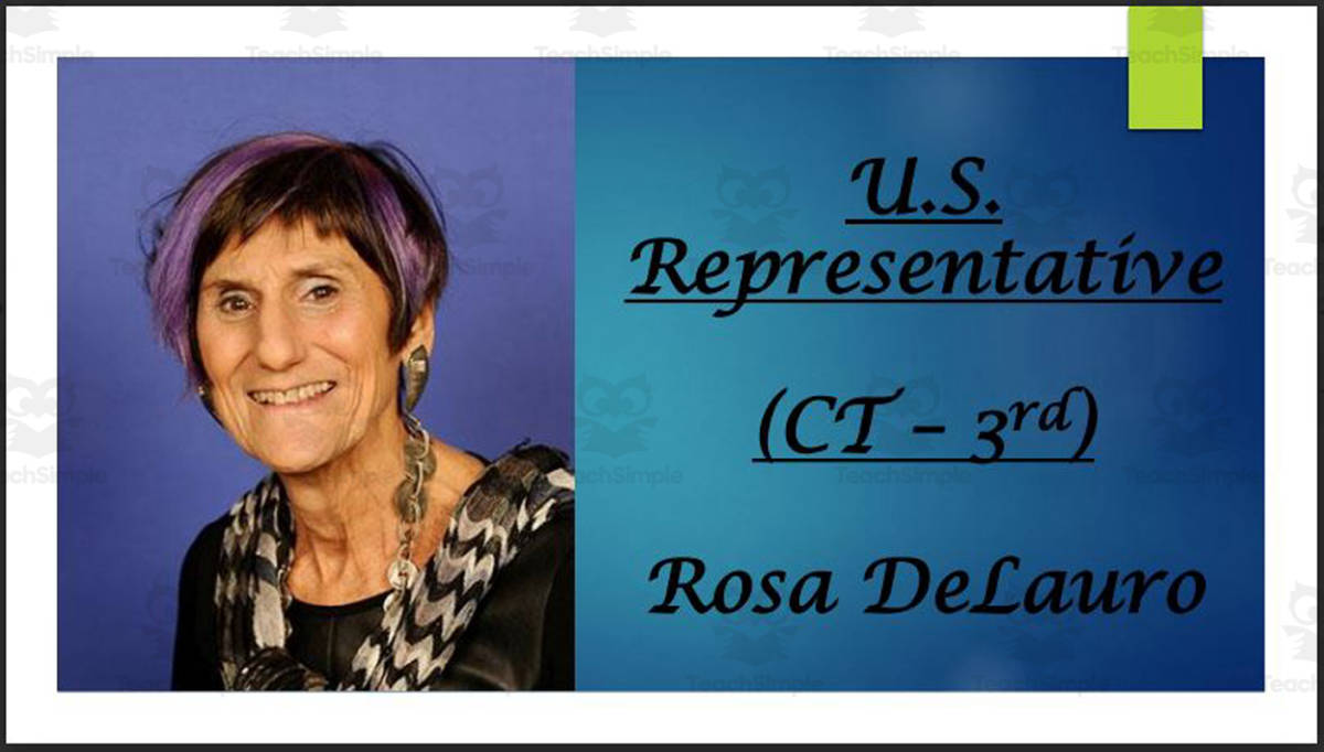 An educational teaching resource from Mr. Matthews Teacher Store entitled U.S. Representative Rosa DeLauro (CT - 3rd) BIO PPT downloadable at Teach Simple.