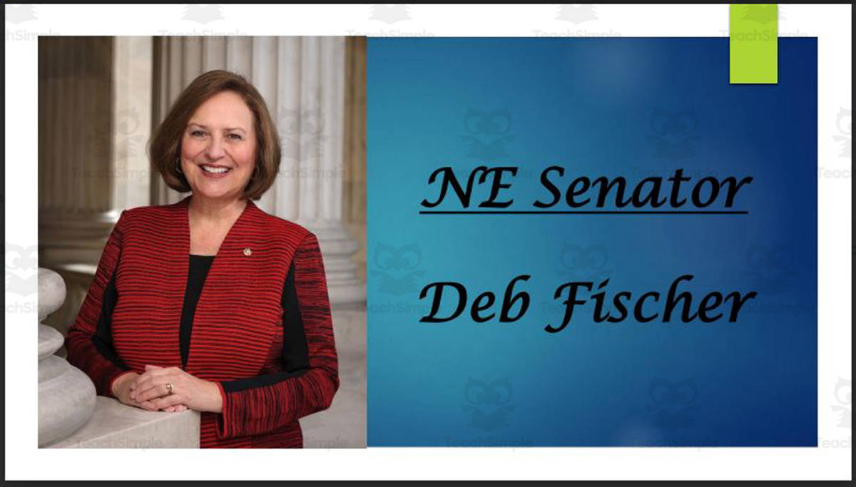 An educational teaching resource from Mr. Matthews Teacher Store entitled U.S. Senator Deb Fischer (NE) Biography PowerPoint downloadable at Teach Simple.