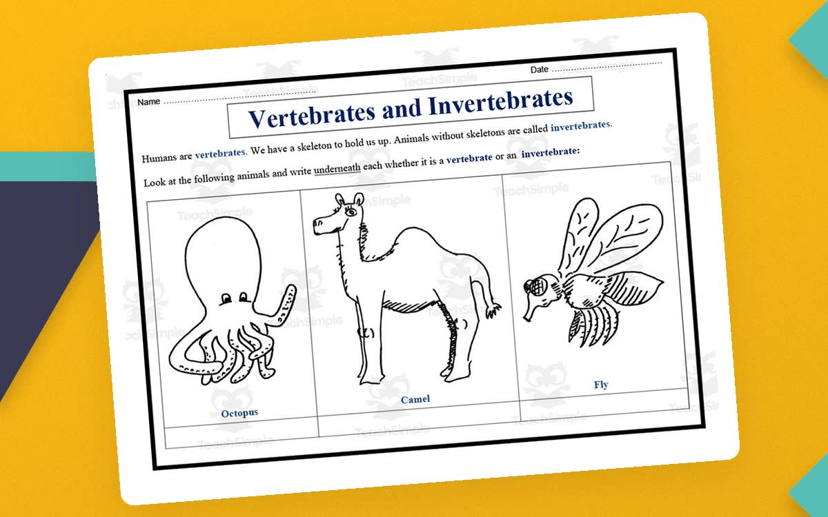 An educational teaching resource from Elementary Resources 4 U entitled Vertebrates vs Invertebrates Sorting Worksheet downloadable at Teach Simple.