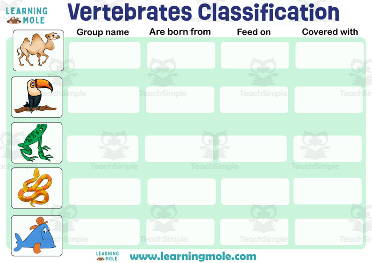 An educational teaching resource from Educational Voice entitled Vertebrates Classification Activity downloadable at Teach Simple.