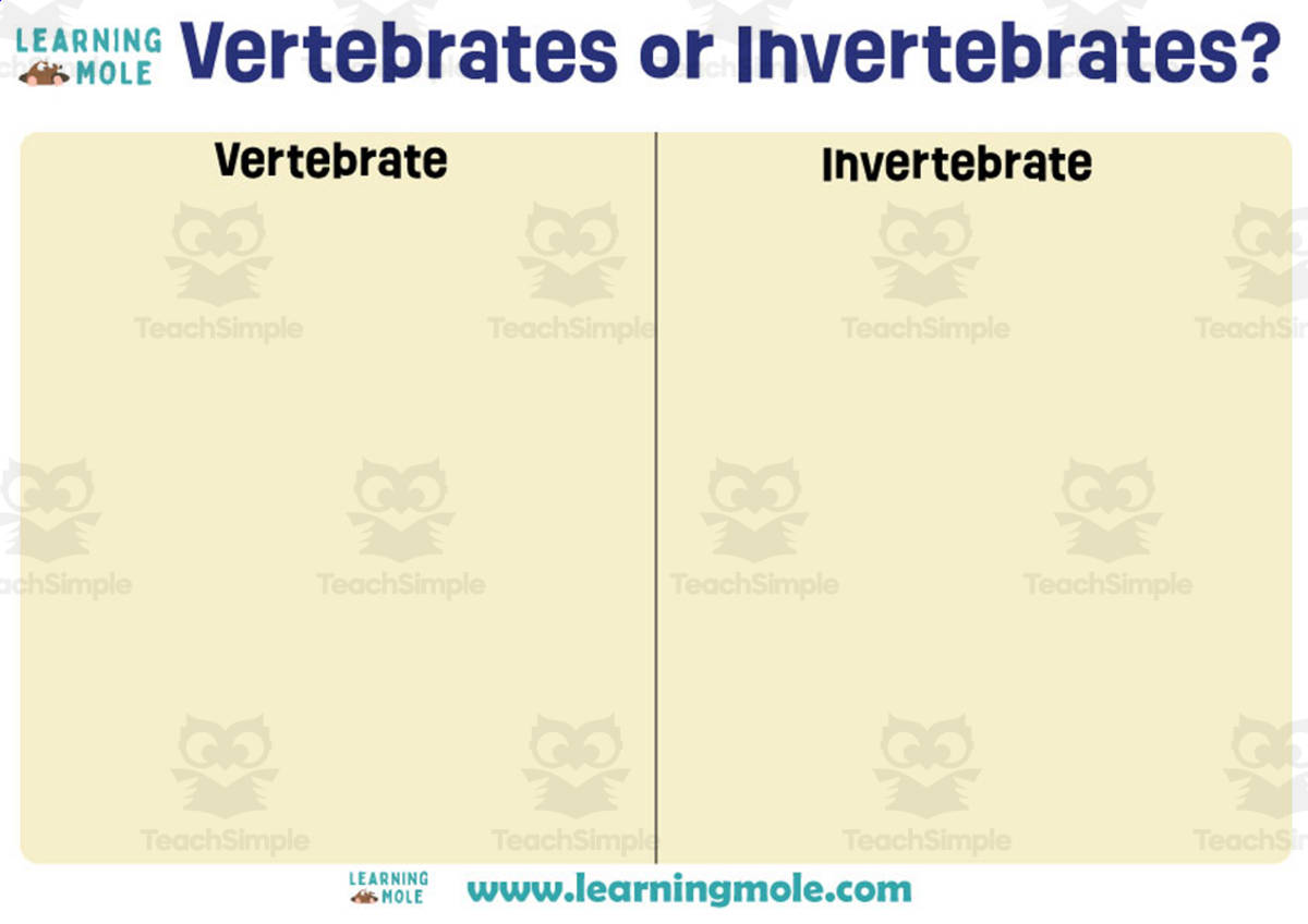 An educational teaching resource from Educational Voice entitled Vertebrates or Invertebrates Activity downloadable at Teach Simple.