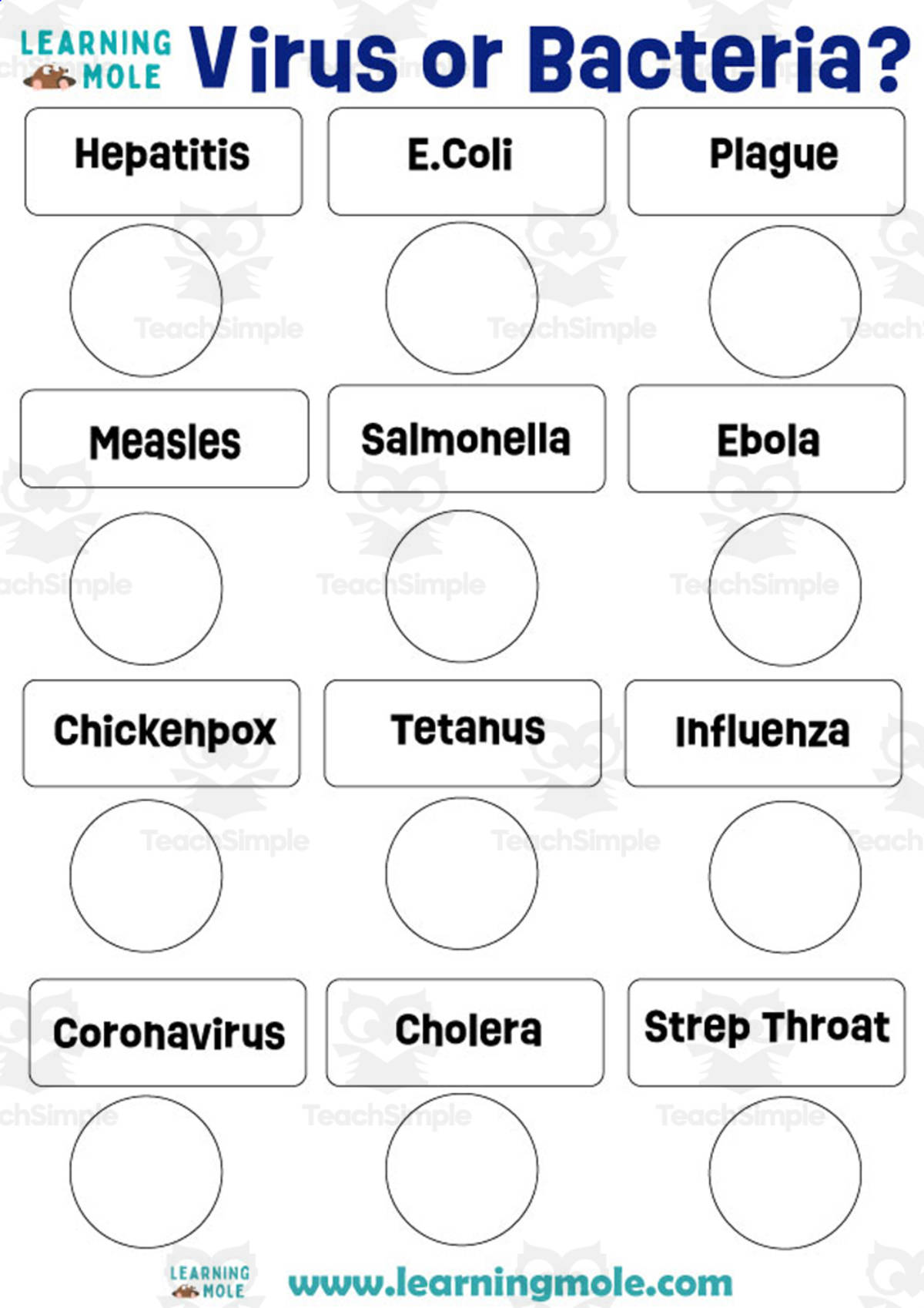 An educational teaching resource from Educational Voice entitled Virus or Bacteria Activity downloadable at Teach Simple.