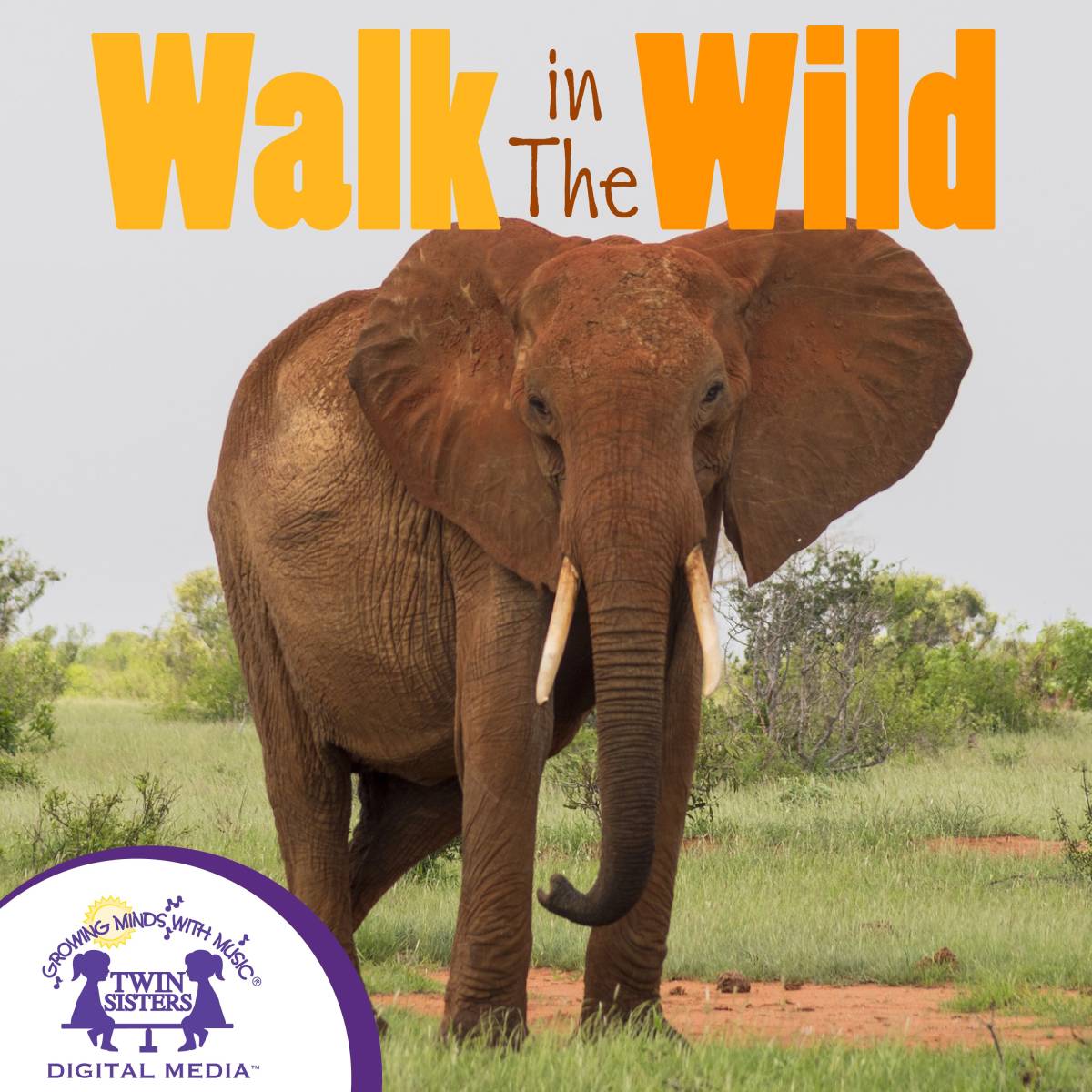 An educational teaching resource from Twin Sisters Digital Media entitled Walk In The Wild Audio Book downloadable at Teach Simple.