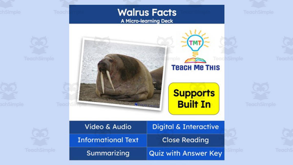 An educational teaching resource from Teach Me This entitled Walrus Facts | Interactive Science Lesson | Micro-Learning Deck downloadable at Teach Simple.