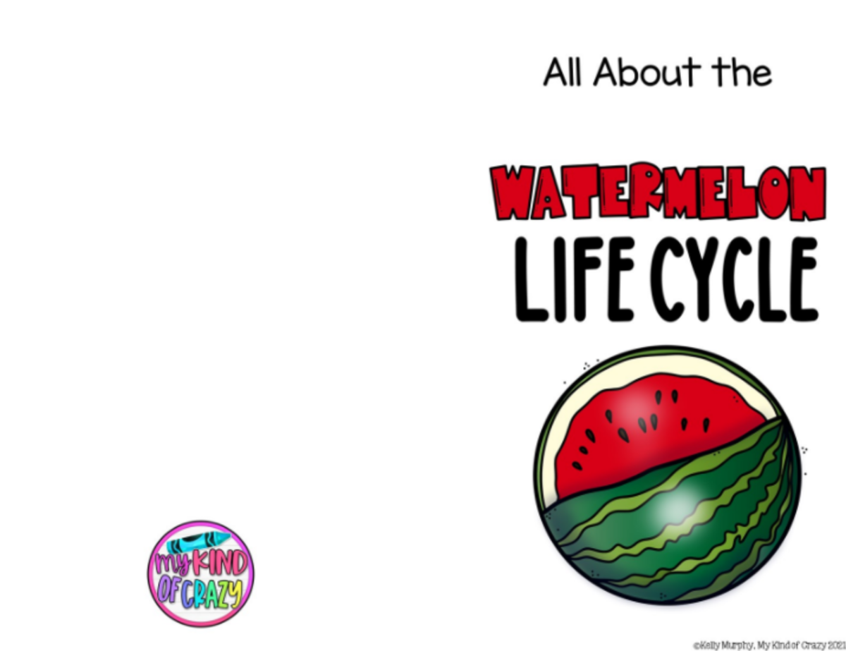 An educational teaching resource from My Kind of Crazy entitled Watermelon Life Cycle Printable Activity Book downloadable at Teach Simple.
