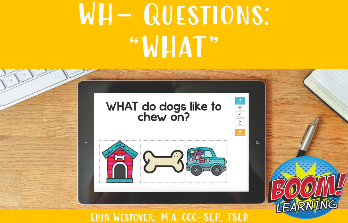 An educational teaching resource from The Tattooed Speechie entitled WH- Questions: WHAT - Set 2 - BOOM Cards downloadable at Teach Simple.