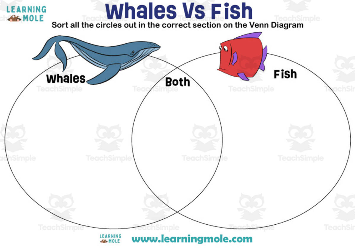 An educational teaching resource from Educational Voice entitled Whales vs Fish Activity downloadable at Teach Simple.