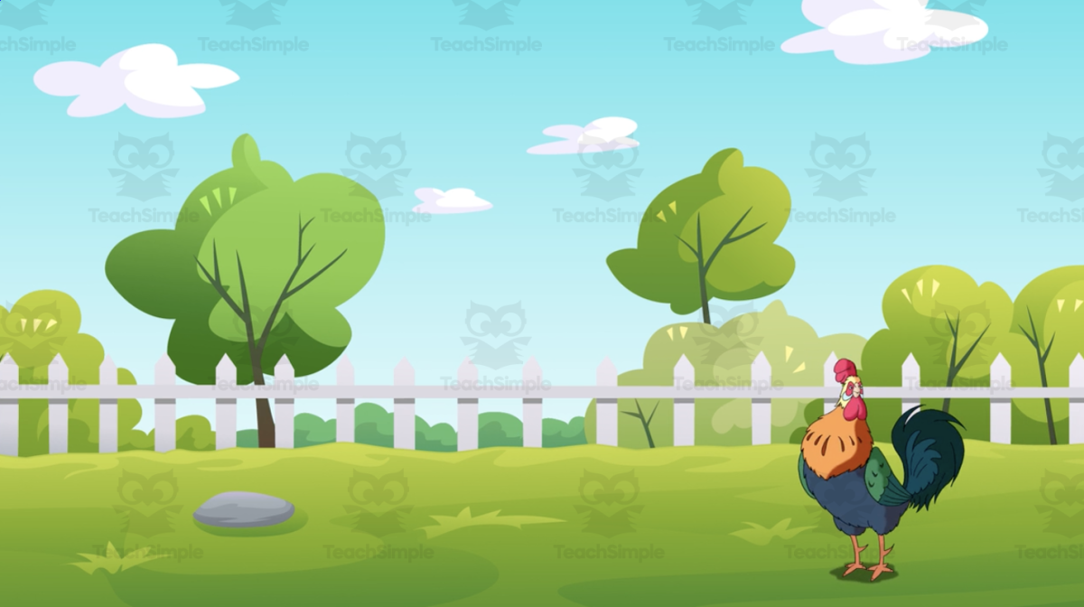 An educational teaching resource from Educational Voice entitled What is a Bird? | Animated Birds Video Lesson downloadable at Teach Simple.