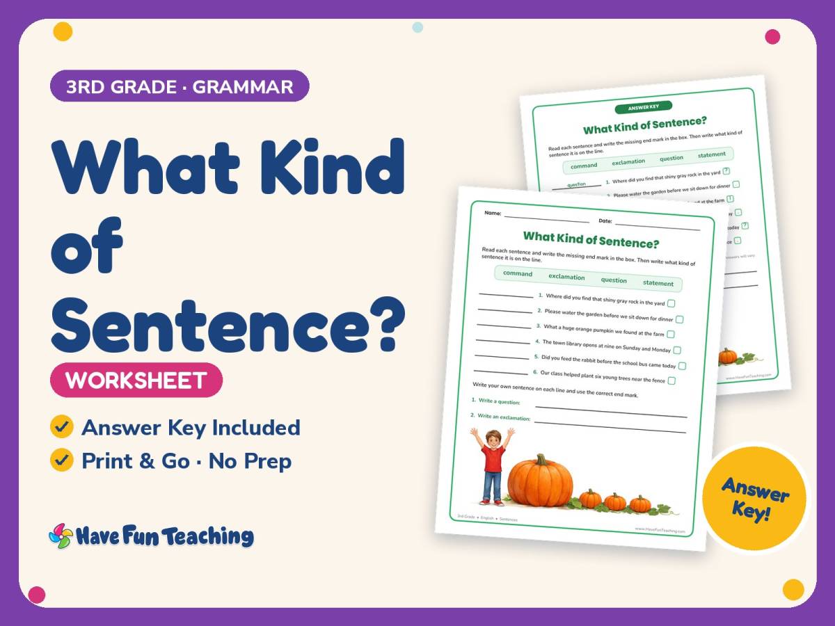 What Kind of Sentence? Worksheet – 3rd Grade Punctuation Practice preview