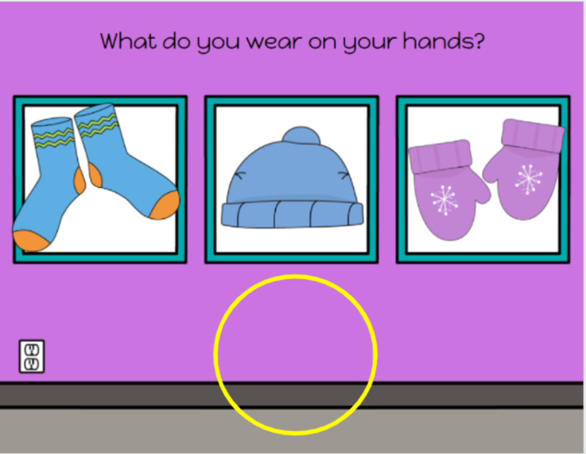 An educational teaching resource from My Kind of Crazy entitled What Questions for Special Ed, Speech and Remote Learning downloadable at Teach Simple.