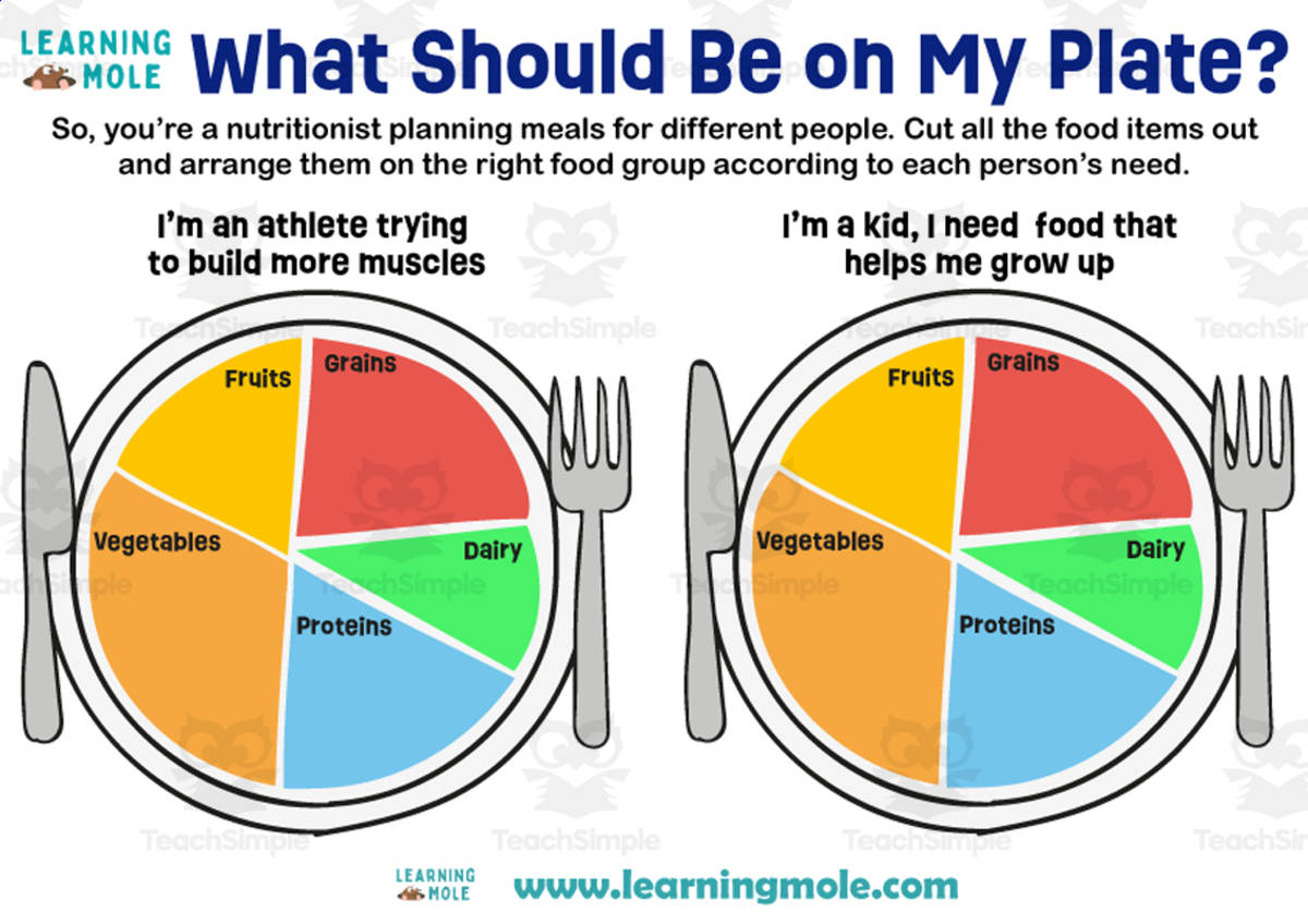 An educational teaching resource from Educational Voice entitled What Should Be on My Plate Activity downloadable at Teach Simple.