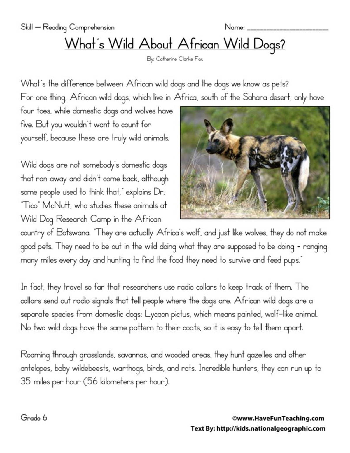 An educational teaching resource from Have Fun Teaching entitled What's Wild About African Dogs Reading Comprehension Worksheet downloadable at Teach Simple.