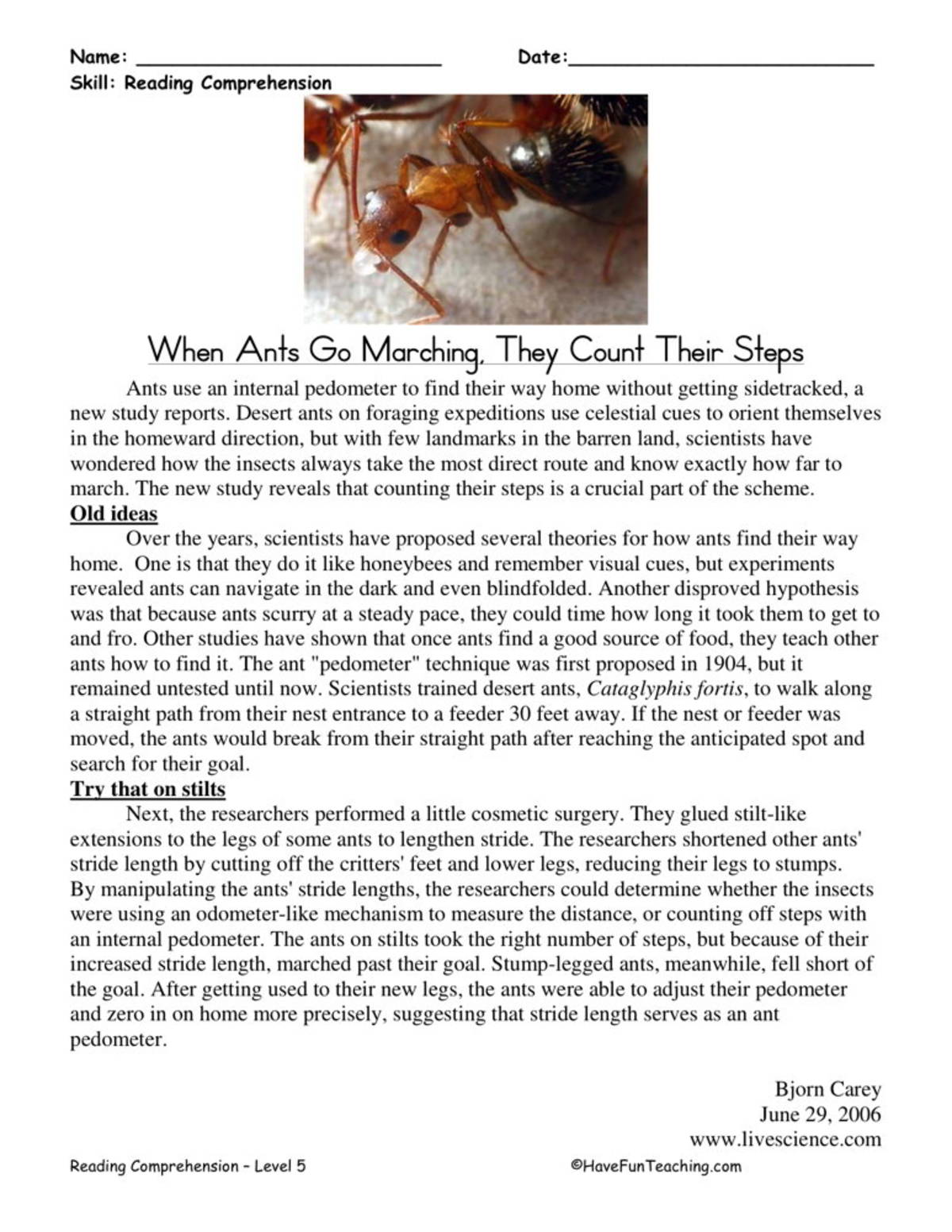 An educational teaching resource from Have Fun Teaching entitled When the Ants Go Marching Reading Comprehension Worksheet downloadable at Teach Simple.
