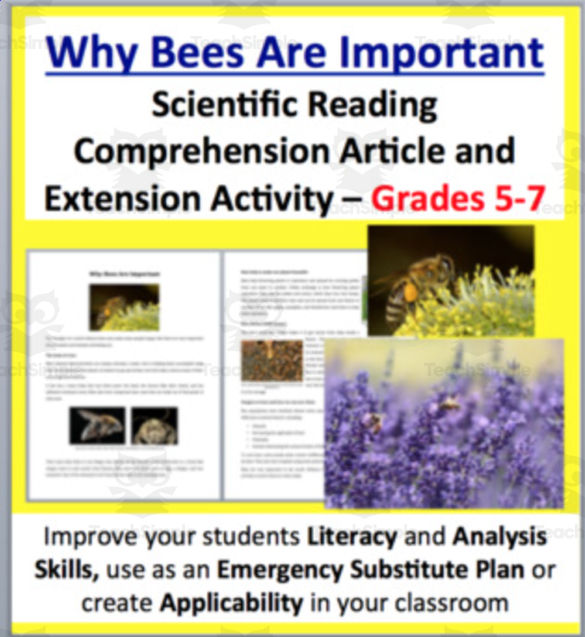 An educational teaching resource from Teach With Fergy entitled Why Bees Are Important - Science Reading Article - Grades 5-7 downloadable at Teach Simple.