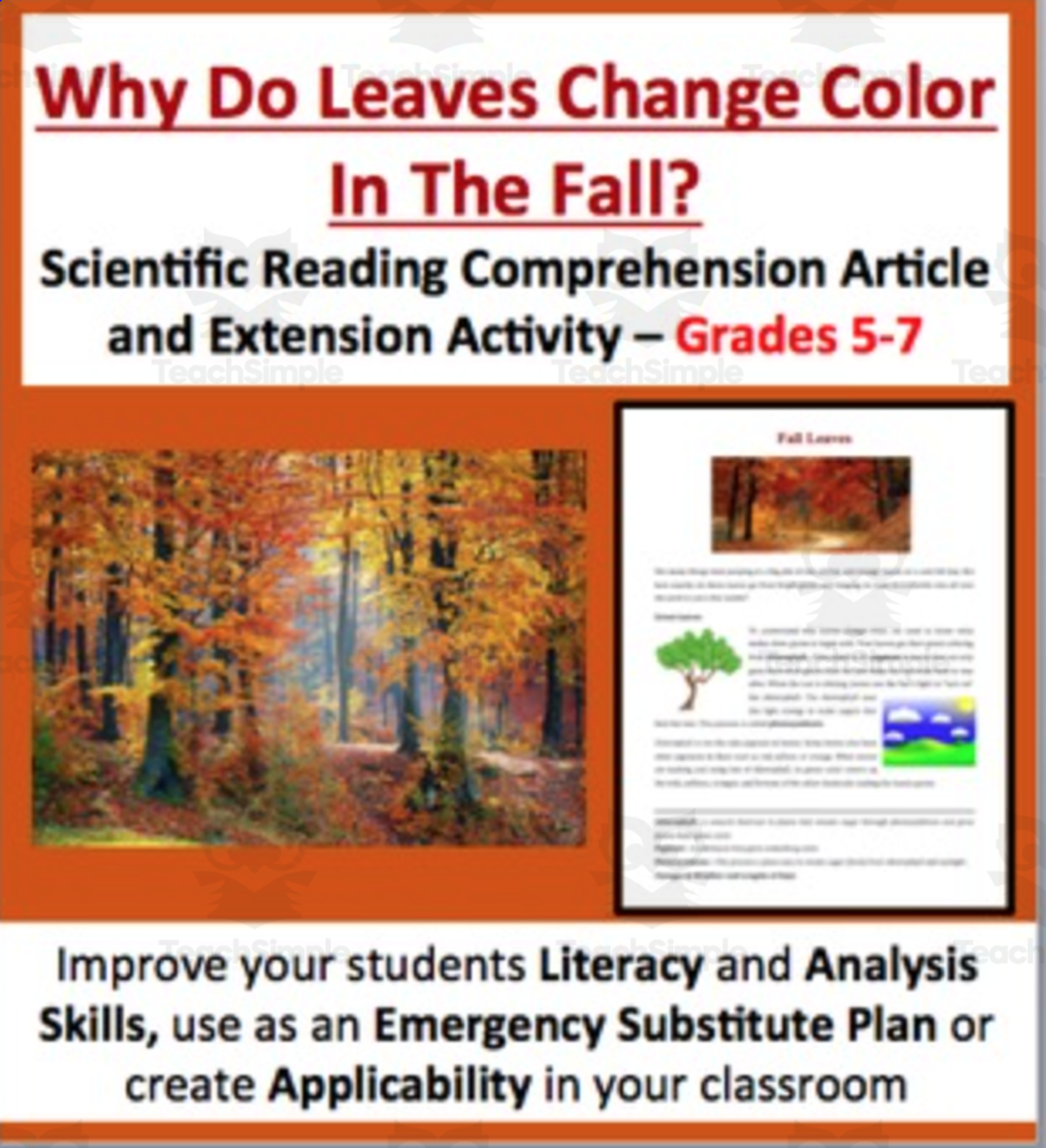 An educational teaching resource from Teach With Fergy entitled Why Leaves Change Color In The Fall - Science Reading Article – Grades 5-7 downloadable at Teach Simple.