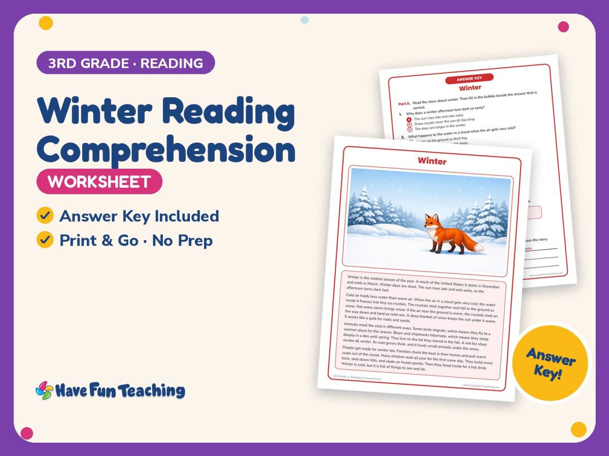 Winter Reading Comprehension Worksheet – 3rd Grade Seasons Practice preview
