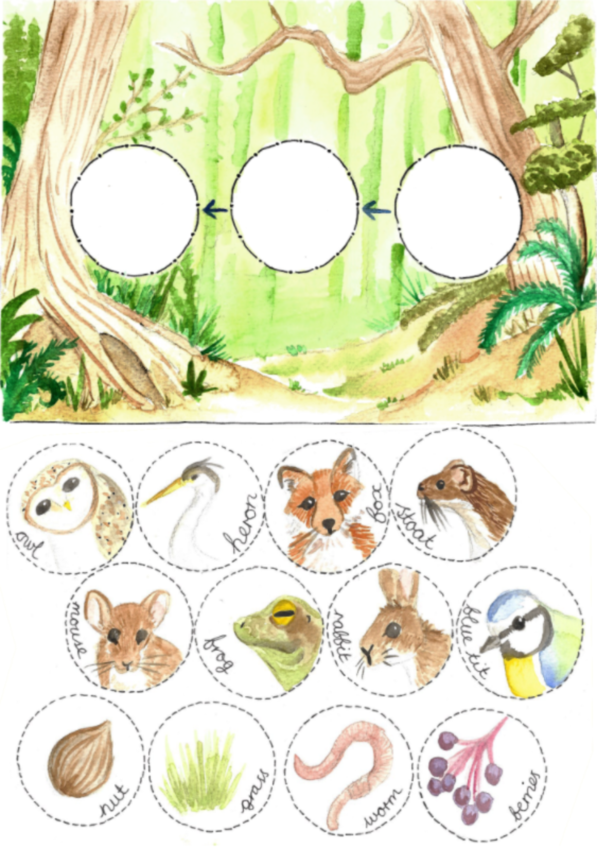 An educational teaching resource from Fiddleticks Education entitled Woodland Food Chain Printable Activity downloadable at Teach Simple.