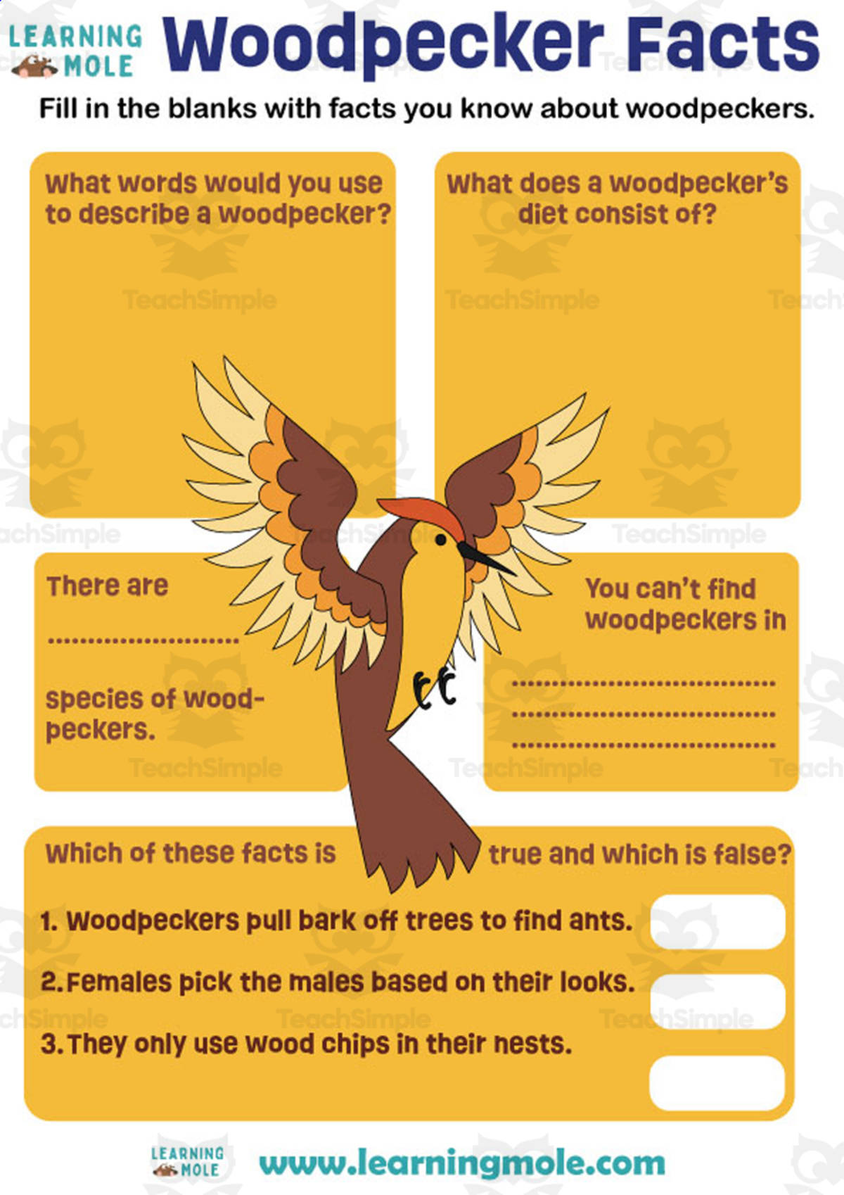 An educational teaching resource from Educational Voice entitled Woodpecker Activity downloadable at Teach Simple.