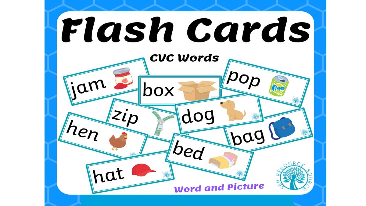 An educational teaching resource from SEN Resource Source entitled Word and Picture Flash Cards downloadable at Teach Simple.