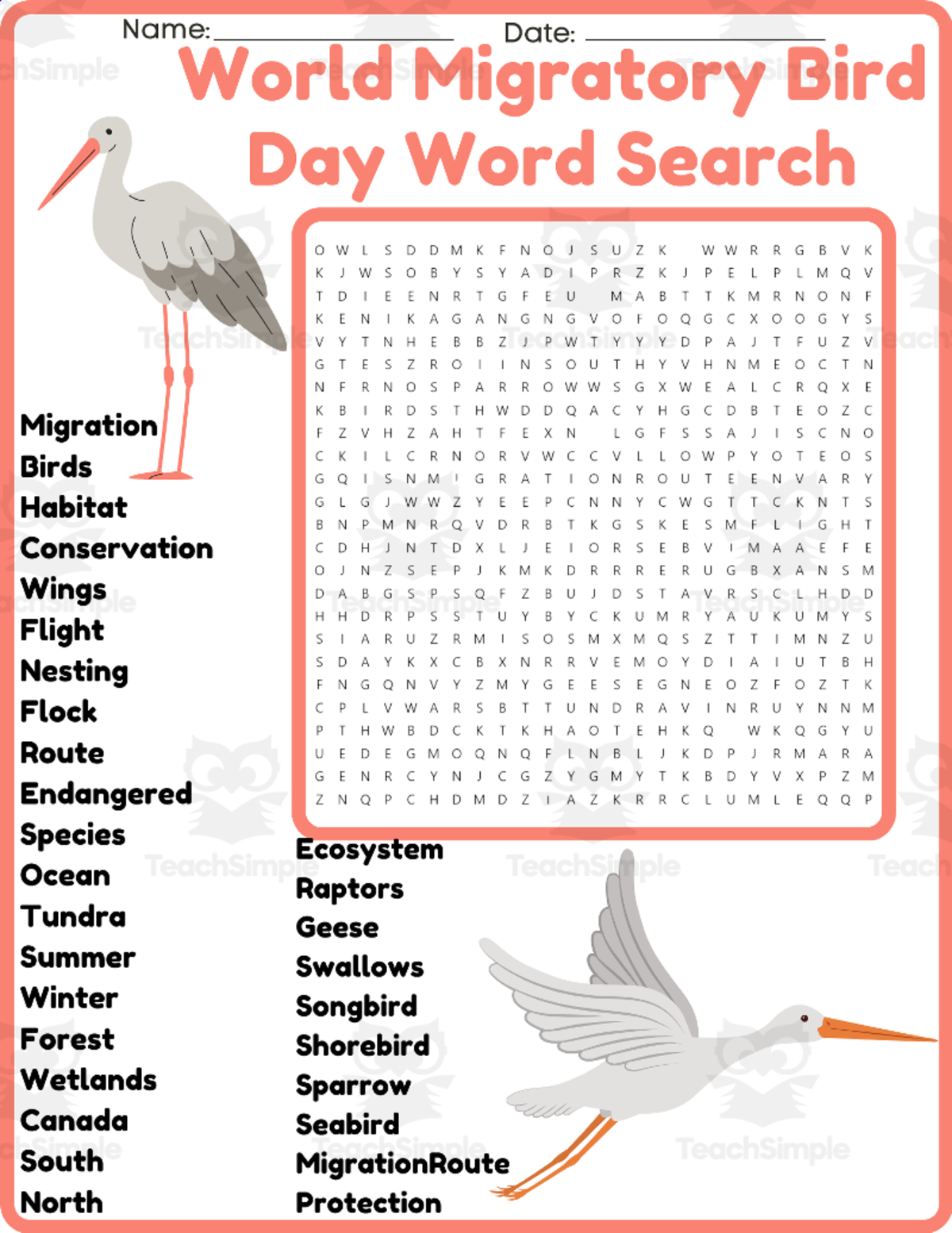 An educational teaching resource from space shope entitled World Migratory Bird Day Word Search Puzzle Worksheet (3rd, 4th & 6th downloadable at Teach Simple.