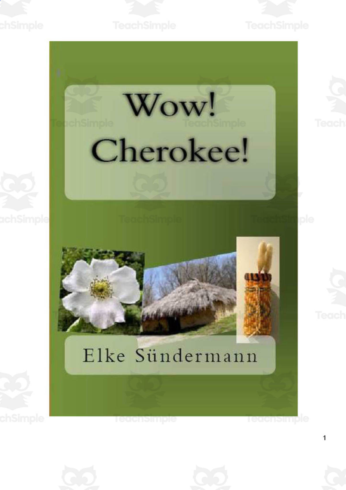 An educational teaching resource from Anyone Can Learn entitled Wow! Cherokee! | History eBook downloadable at Teach Simple.