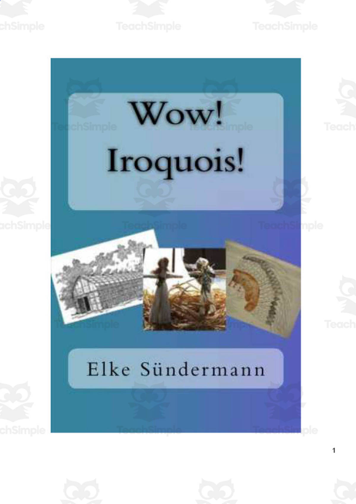 An educational teaching resource from Anyone Can Learn entitled Wow! Iroquois! | History eBook downloadable at Teach Simple.