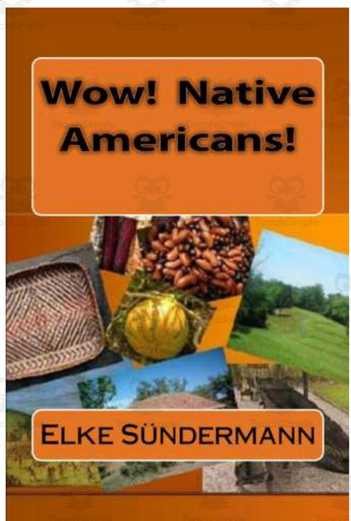 An educational teaching resource from Anyone Can Learn entitled Wow! Native Americans! | History eBook downloadable at Teach Simple.