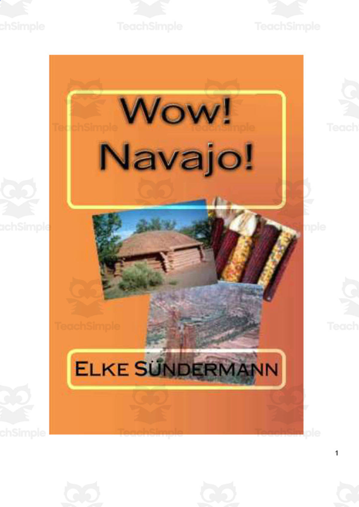 An educational teaching resource from Anyone Can Learn entitled Wow! Navajo! | History eBook downloadable at Teach Simple.