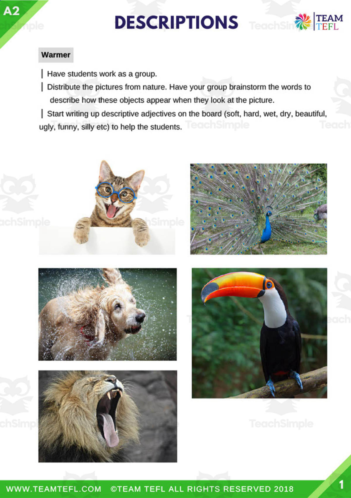 An educational teaching resource from TEAM TEFL entitled Writing Descriptions | Pre-Intermediate Lesson Plan downloadable at Teach Simple.