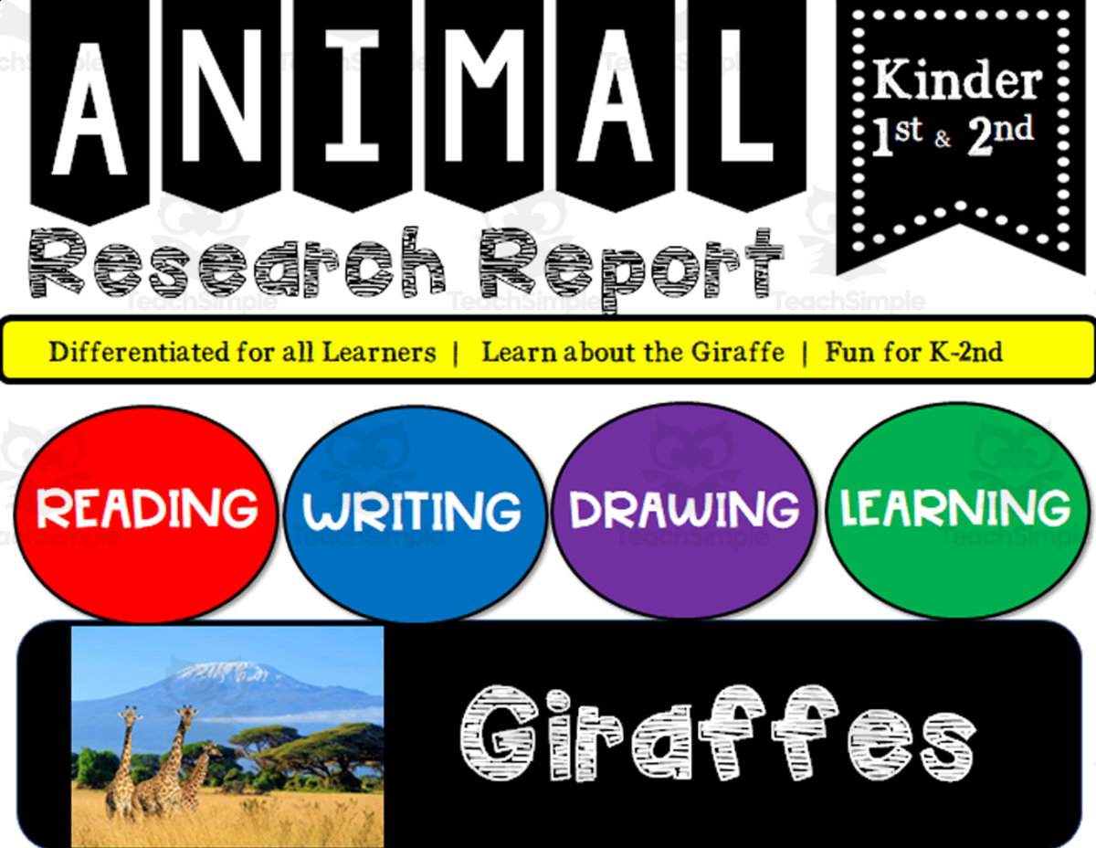 An educational teaching resource from K-5 Treasures entitled Zoo Animal Research Writing Project on GIRAFFES for K-2nd Grade downloadable at Teach Simple.