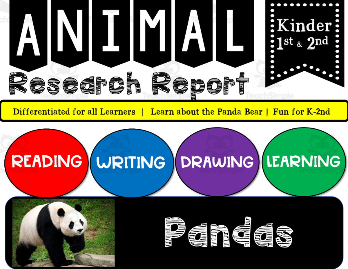An educational teaching resource from K-5 Treasures entitled Zoo Animal Research Writing Project on PANDAS for K-2nd Grade downloadable at Teach Simple.