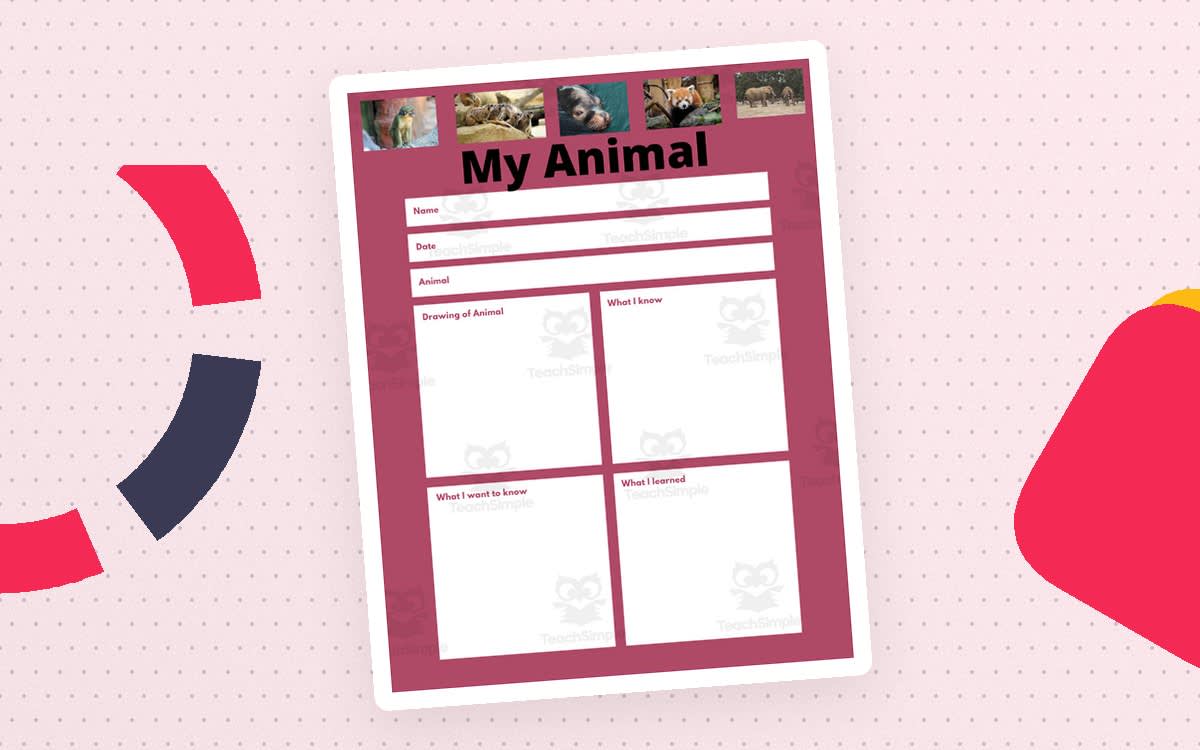 An educational teaching resource from DK's Creations entitled Zoology Bundle downloadable at Teach Simple.