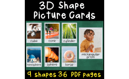 3D Shape Picture Cards