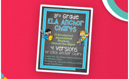 3rd Grade ELA Anchor Charts – 23 Standards Set
